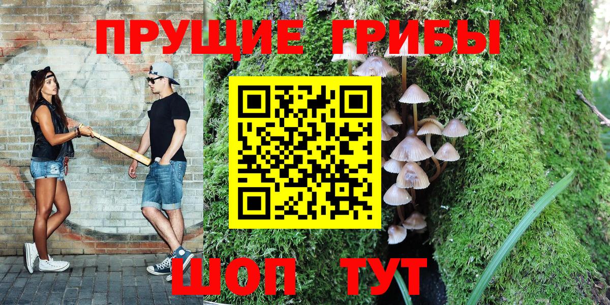 Псилоцибиновые грибы Psilocybine cubensis  Вход с VPN  Лыткарино 