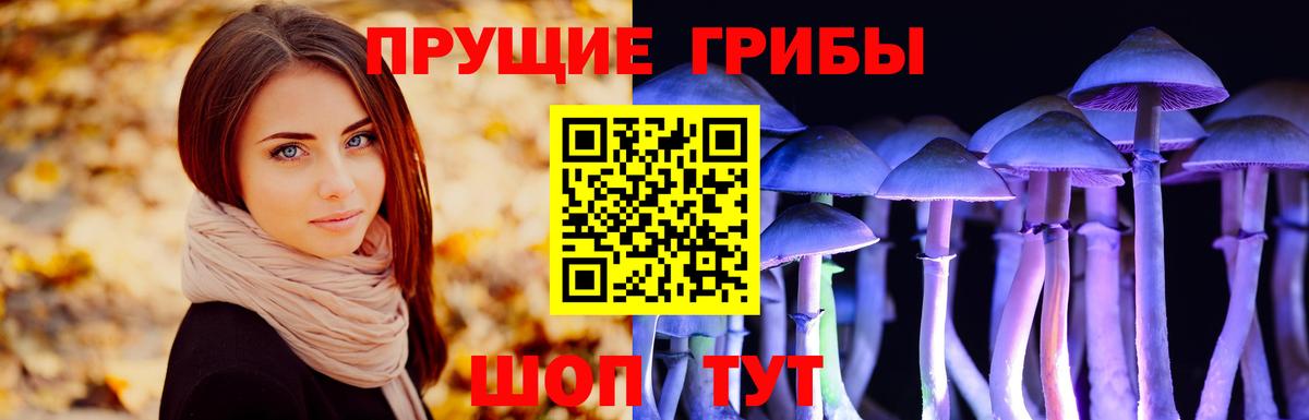 Псилоцибиновые грибы ЛСД Лыткарино